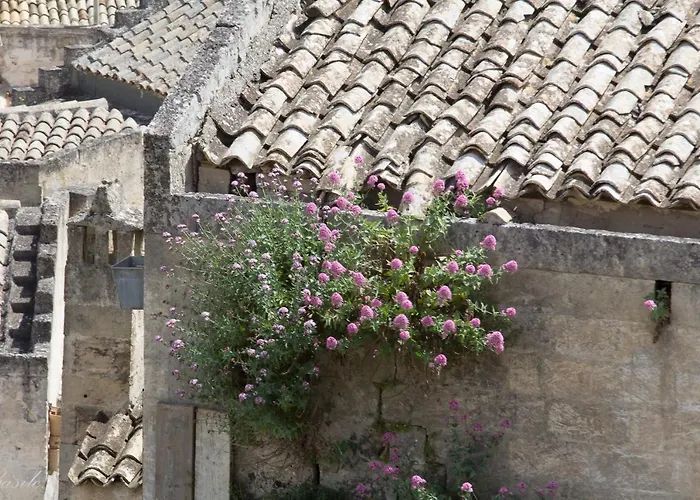 B&B Fiorentini